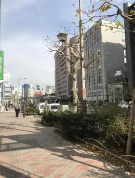 エム・エフ青山ビルの外観