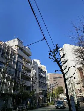 藤本ビルの外観