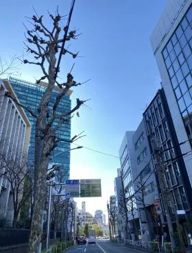 藤本ビルの外観