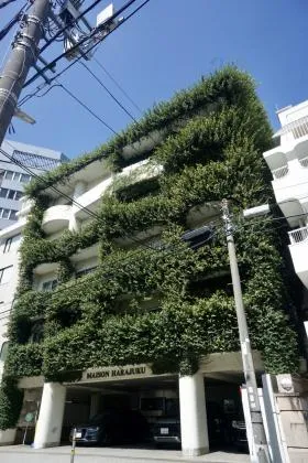 メイゾン原宿の外観