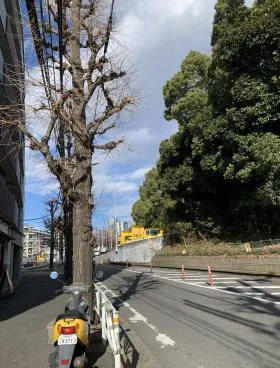 フォーレスト代々木B館ビルの外観