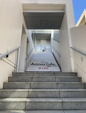 神宮前115(旧:ニコニコ本社)ビルの外観