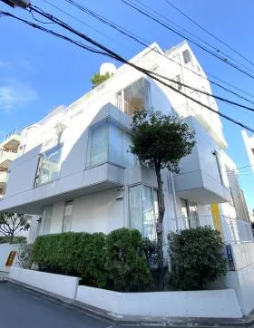 ビラフレスカビルの外観