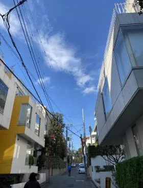ビラフレスカビルの外観