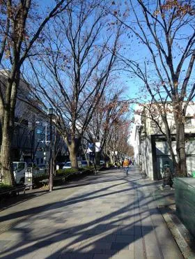 プレファス表参道(旧:参道千代田)ビルの外観