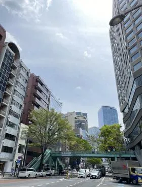 アオヤマビルの外観