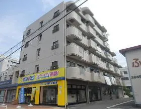 シャトーレ石川の外観