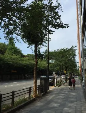 アビスタ九段ビルの外観