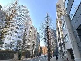 VORT紀尾井坂(パシフィックシティ麹町)の外観