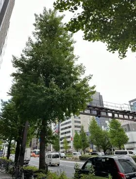 西新宿小出ビルの外観