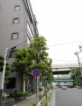 第1富士ビルの外観