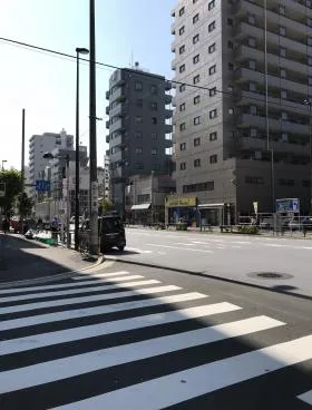 シルバースティックの外観