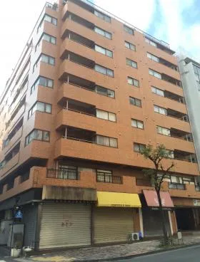 桔梗ライオンズマンション平河町の外観