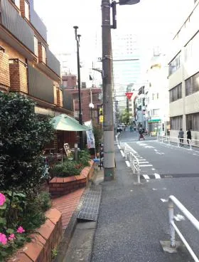 ライオンズマンション平河町の外観