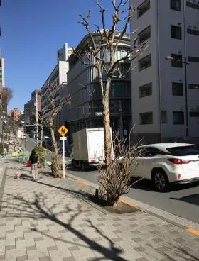 朝日三番町プラザの外観