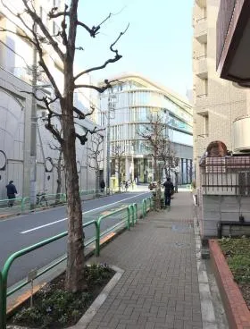 ヴィラロイヤル三番町ビルの外観