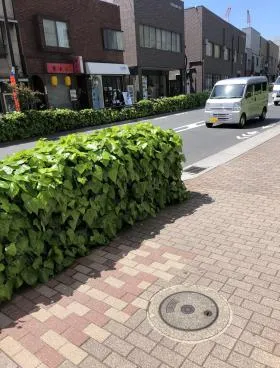 東信御茶ノ水ビルの外観