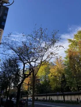 南信堂ビルの外観
