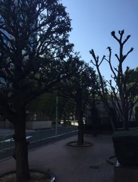 芝公園電気ビルディングの外観