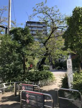 秋葉原KKビルの外観