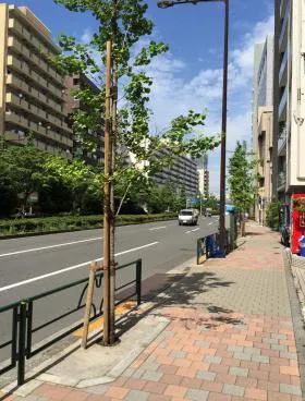 新・荒井ビルの外観