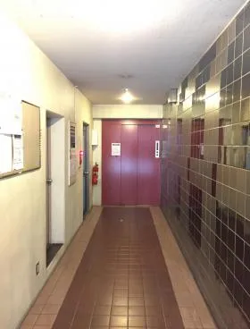 パレヤソジマの外観