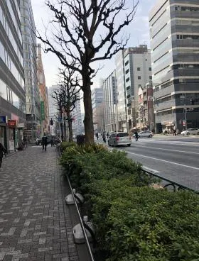 ビルックスNO.2の外観