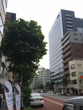 ANTEX24ビルの外観
