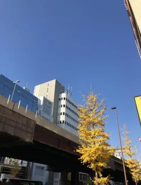 岩瀬ビルの外観