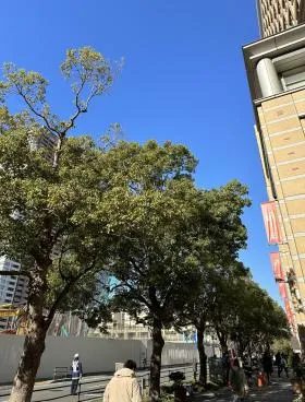 オーバルコート大崎マークウエストビルの外観