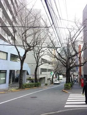 アルス新大塚の外観