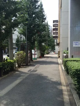 MSビルの外観