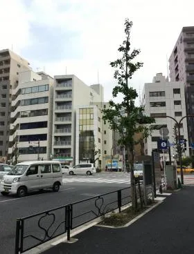 長嶋ビルの外観