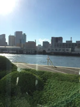 イヌイビル・カチドキの外観