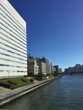 イヌイビル・カチドキの外観