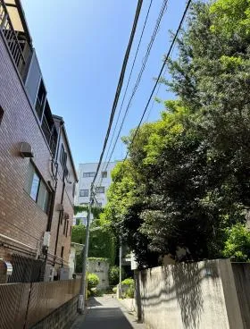 キクチビルの外観