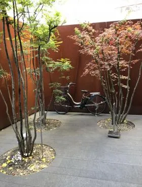 原宿神宮の森の外観