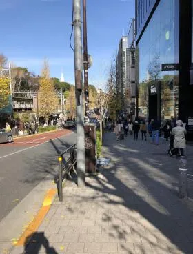 原宿神宮の森の外観