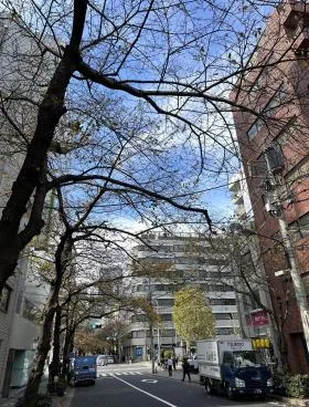 白鷺(シラサギ)ビルの外観