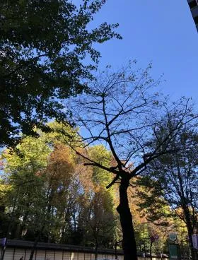 川内ビルの外観