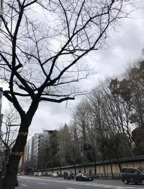 ゴンドラビルの外観