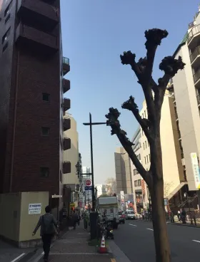 ホーマットホライゾンビルの外観
