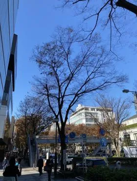 原宿ピアザビルの外観
