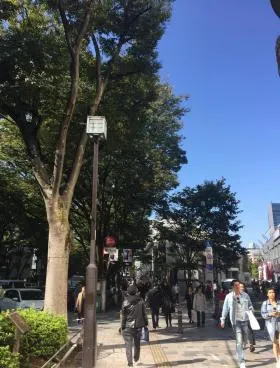 東京セントラル表参道の外観