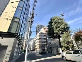 Nan-oBldg.新虎(旧:第2南櫻ビル計画の外観