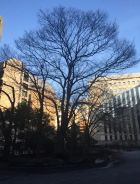 日本赤十字社ビルの外観