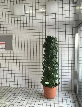 ヴェスタビルの外観