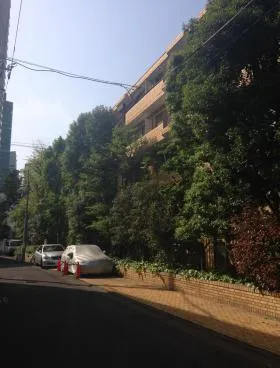 仙石山アネックスの外観