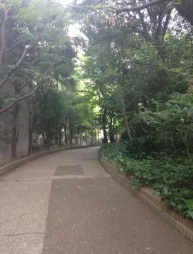 仙石山アネックスの外観