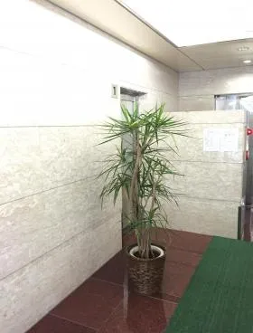新川STビルの外観